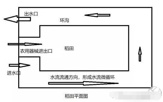 挖好的小龙虾池塘图片