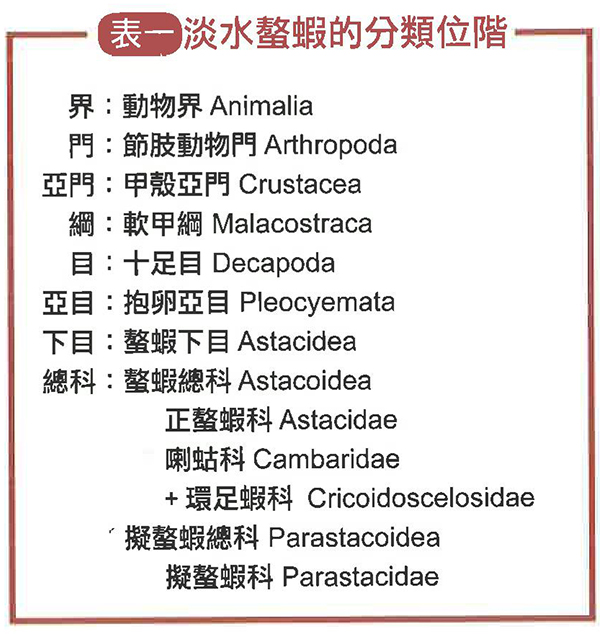 淡水螯虾的分类及分布