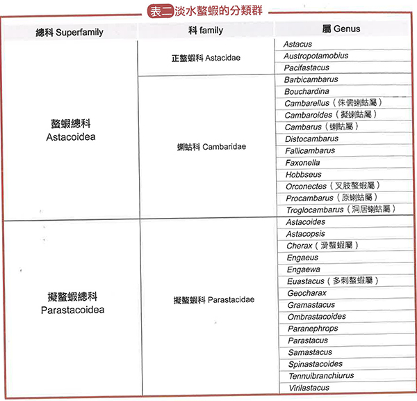 淡水螯虾的分类及分布