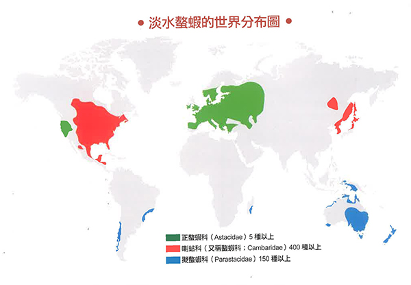 淡水螯虾的分类及分布