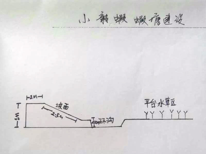 关系到小龙虾整个养殖的成败——池塘选址