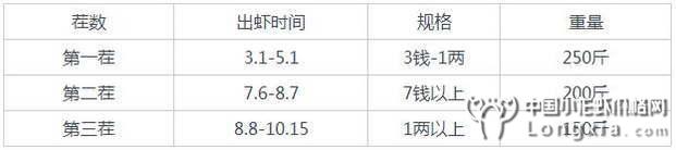 养3茬产6百斤小龙虾赚了1万元，反季节销售模式有多牛?