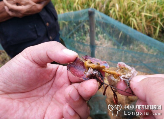 外源水质差时，不能经常换水？