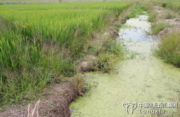 外源水质差时，不能经常换水？