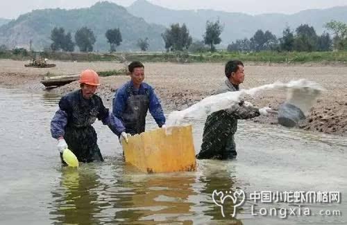 凡事有“利”必有“害”，如何将养殖小龙虾过程中的“害”化成“利”？