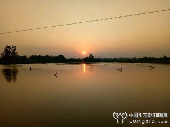 遇上雷阵雨闷热天、连阴天等恶劣天气，如何及时换水？