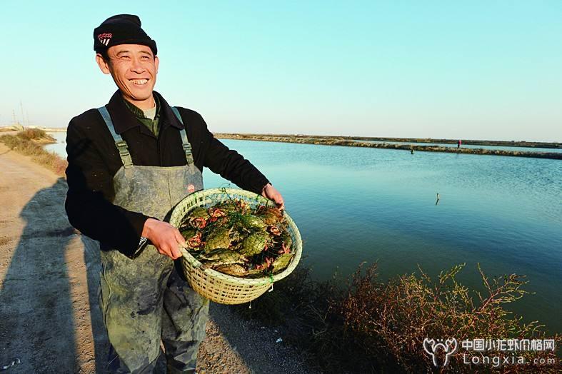 虾塘小龙虾难养？再也不愁养不好虾了！