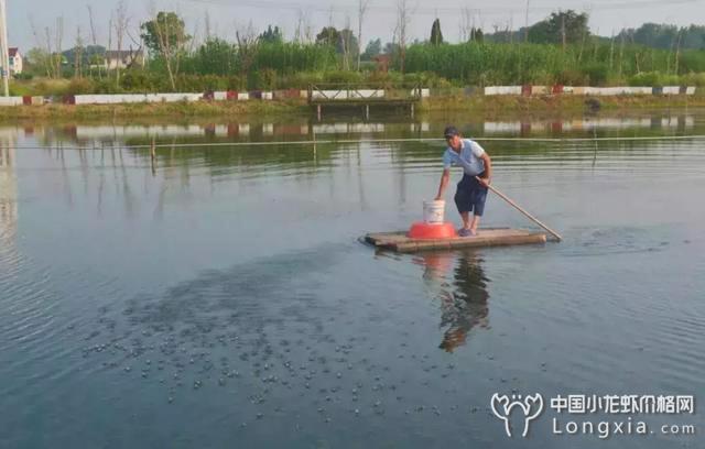 十一月份来临之际，小龙虾虾塘有哪些管理工作不能落下？