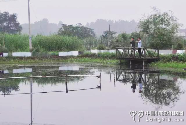 十一月份来临之际，小龙虾虾塘有哪些管理工作不能落下？