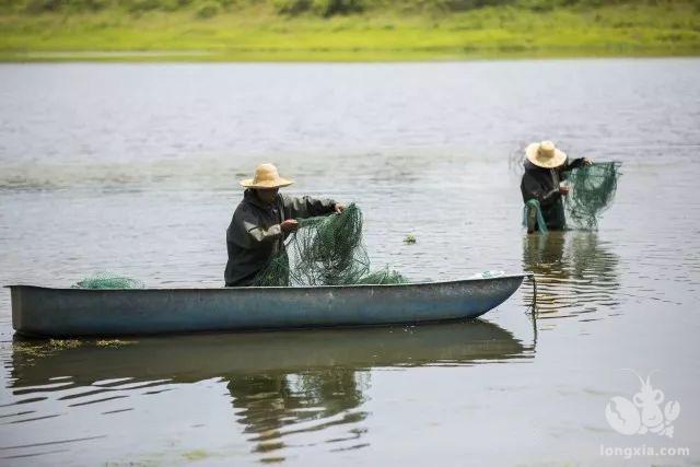 怎么预防池塘里的青苔有哪些方法？改变水体浑浊这样做