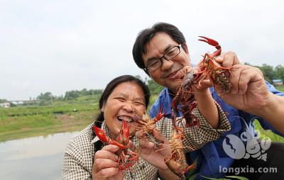 小龙虾的饲料保存不当会引起这什么危害？