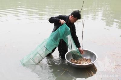 如何知道自己小龙虾养殖水质的好坏？