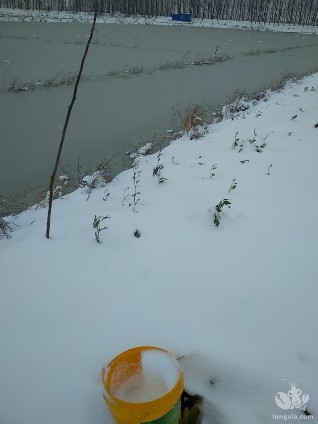 冰天雪地里探寻小龙虾苗