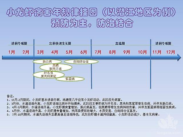 如何处理小龙虾虾塘满塘青苔爆发？