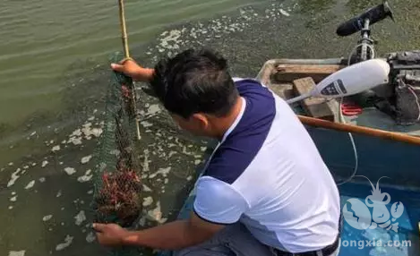 在整个养殖过程中，补钙都是很重要的环节