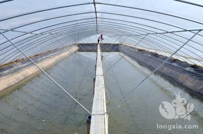 大棚养殖小龙虾怎样给水加温？