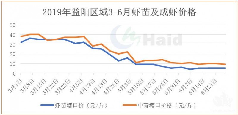 小龙虾一线 | 今年能赚钱的新塘，在养殖上和你有哪些不一样？