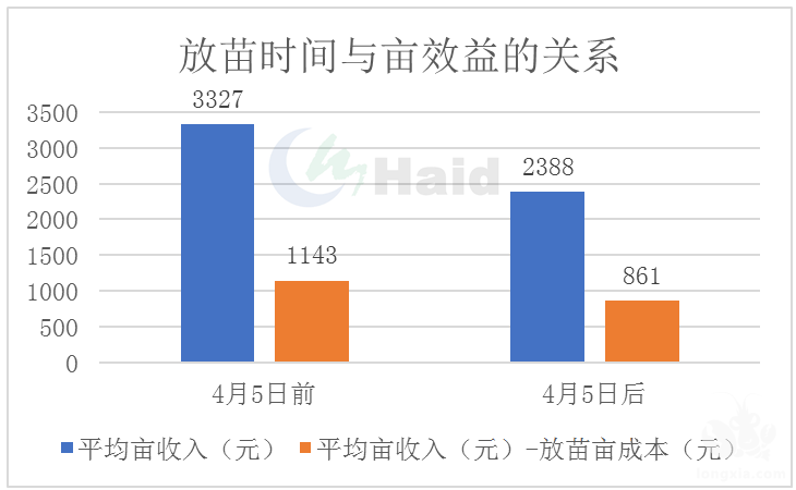 小龙虾一线 | 今年能赚钱的新塘，在养殖上和你有哪些不一样？