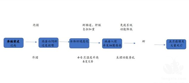 今年的小龙虾“黑色五月”将提前到来！养殖户务必提前做好应对！