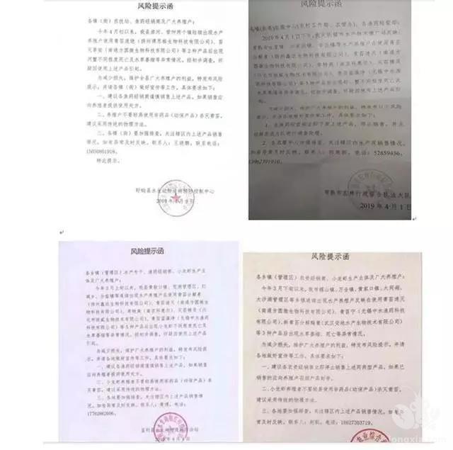 青苔药调查结果已出，青苔不能杀，小龙虾养殖户如何处理青苔