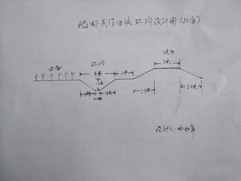 【收好】几种虾沟开挖方式，稻田改造详细方案