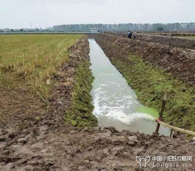 小龙虾养殖池塘建设方案【干货】