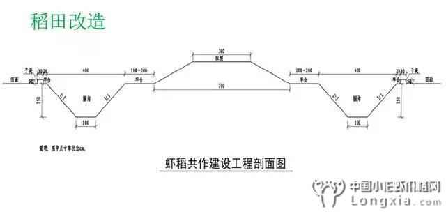 田间工程改造如何做？手把手教你稻田改造