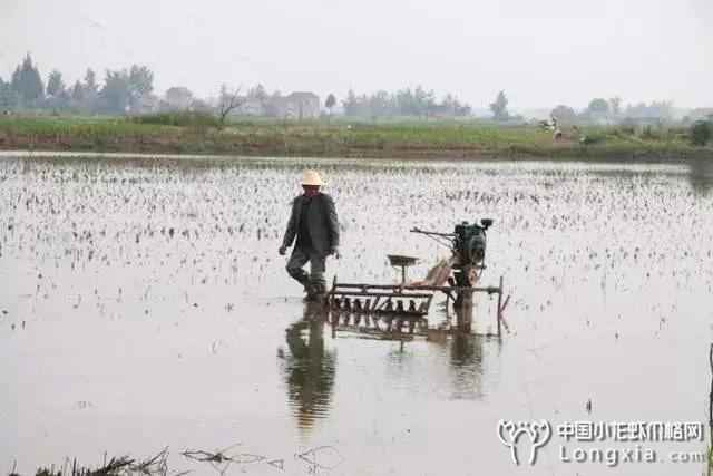 生长快，见效快，风险低！说的就是你