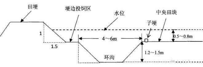 “虾稻共作”如何做好小龙虾养殖场地的改建