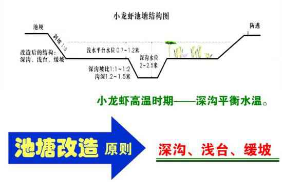 养龙虾赚不赚钱，一算价格回本指数就知道了！