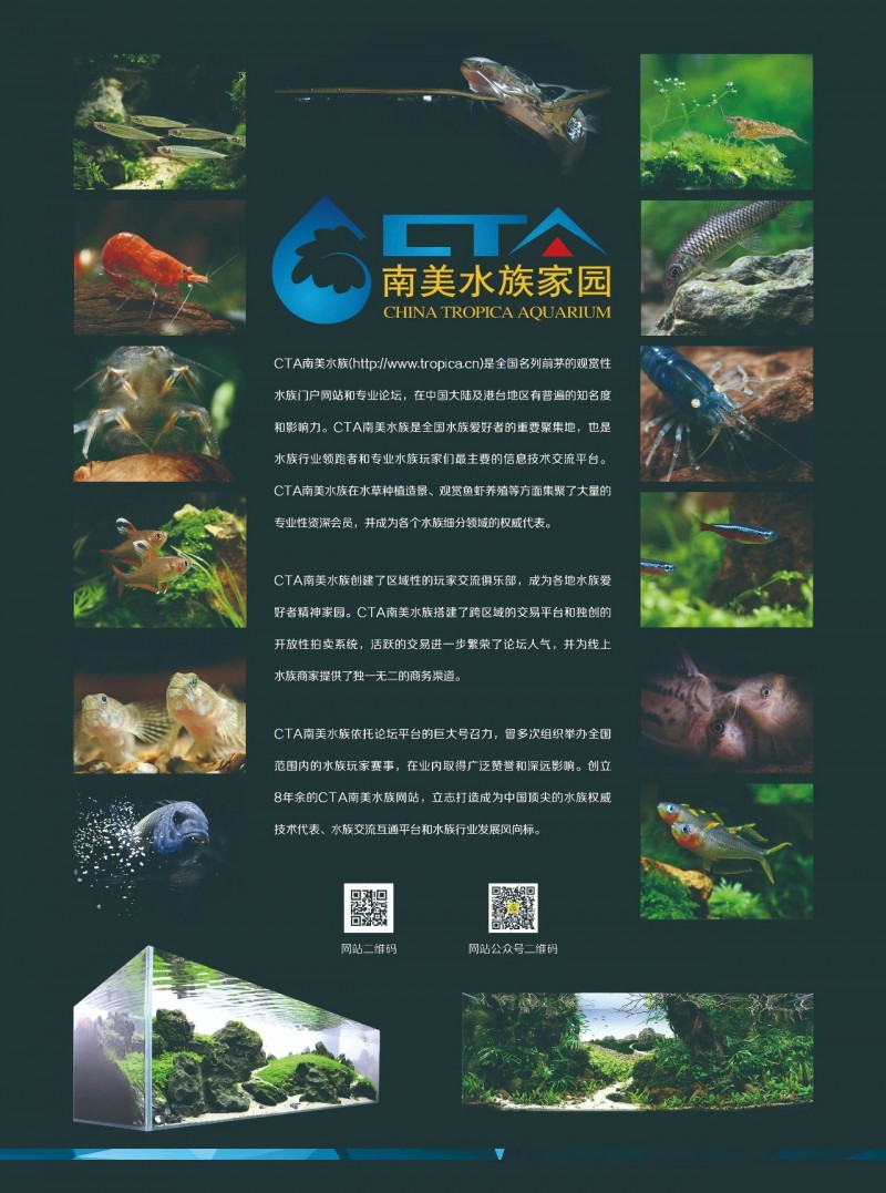 好消息：南美水族论坛将为GIAS广州水族展助力，带来更多新色彩！