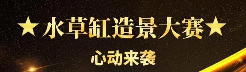 重磅消息！【首届CADC水草缸造景大赛】正式开启线上作品征集！