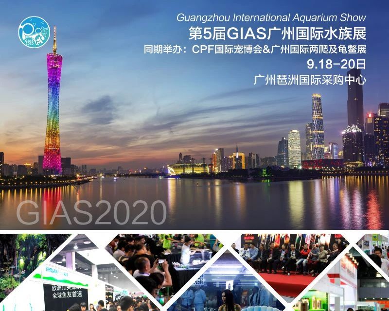 2020水族行业爆款展会，GIAS广州国际水族展强势来袭