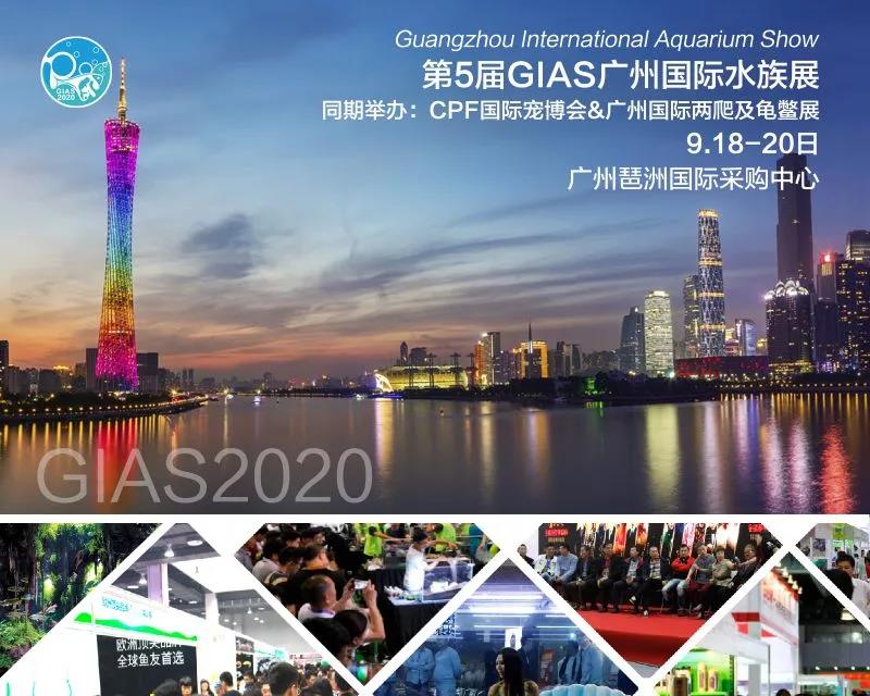 【展会动态】GIAS广州水族展正式进入倒计时，专业观众数量直线上升！