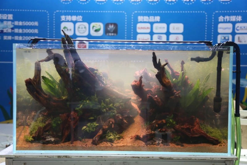 展会回顾 | CADC水族造景大赛冠军产生！