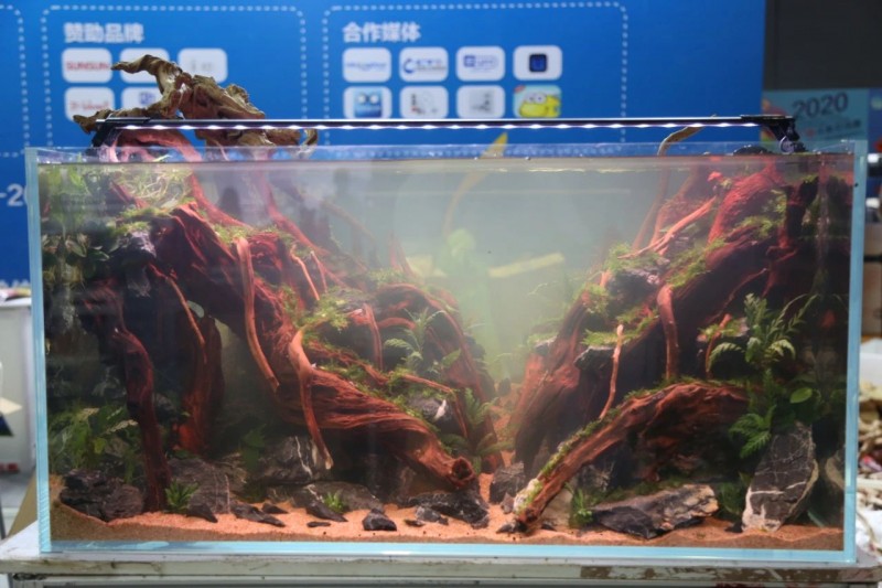 展会回顾 | CADC水族造景大赛冠军产生！