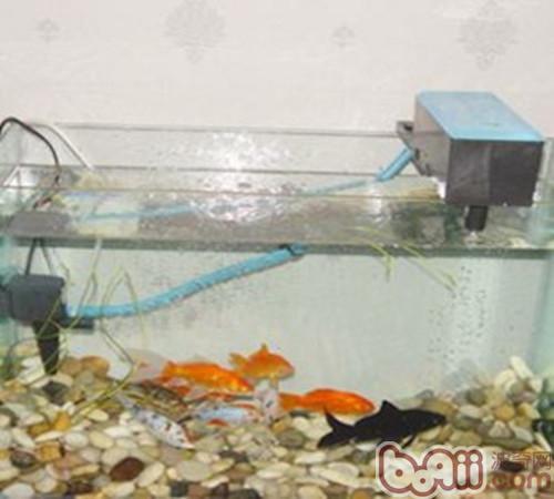 水族箱过滤器必备条件