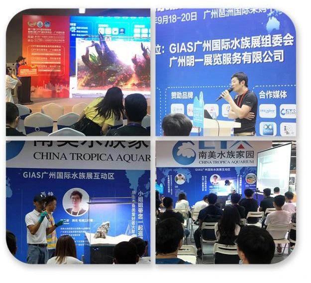 2021GIAS广州国际水族展行业解读：被严重低估的水族行业出路在哪里？