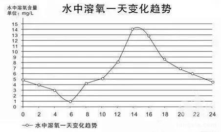 养殖小龙虾的头号杀手—“缺氧”！