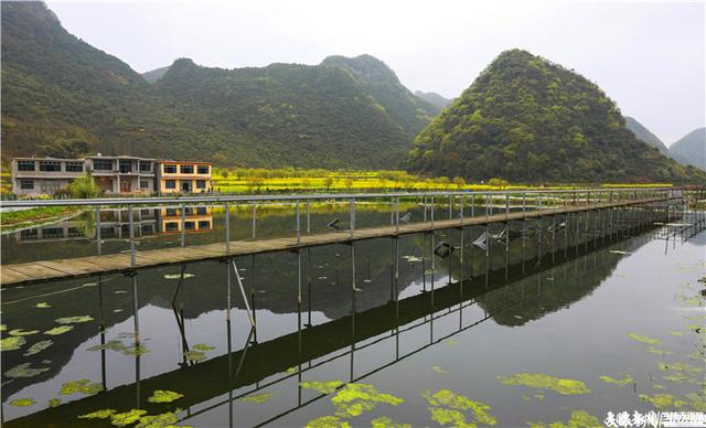 「做强坝区产业 助推乡村振兴」坝湾坝区：奏响“小龙虾圆舞曲”