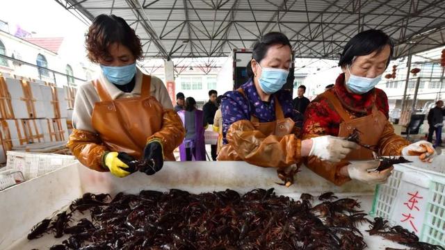 吃货们有福啦！巢湖“第一波”小龙虾抢鲜上市