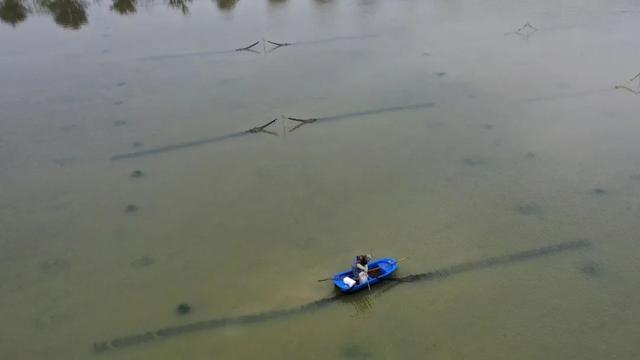 吃货们有福啦！巢湖“第一波”小龙虾抢鲜上市