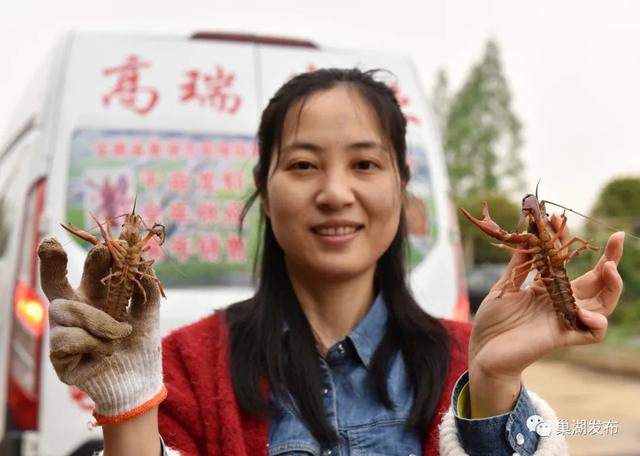 吃货们有福啦！巢湖“第一波”小龙虾抢鲜上市