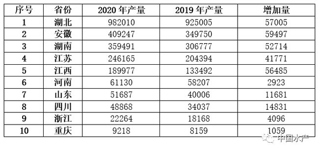 你贡献了几斤？四川人一年吃掉8万吨小龙虾！