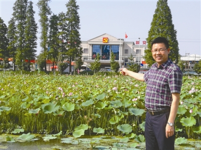 余姚马渚开元村： 荷田套养小龙虾 走出新的致富路