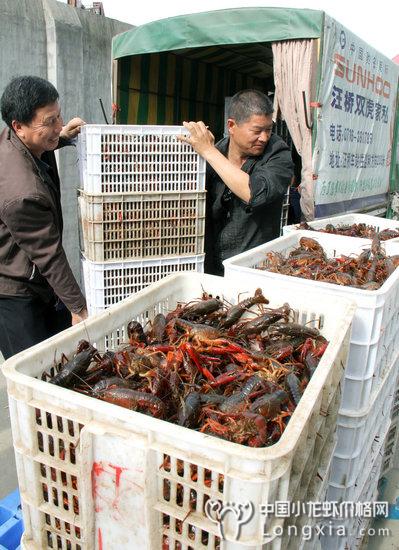 湖北监利：全国水稻第一县到中国小龙虾第一县的华丽嬗变