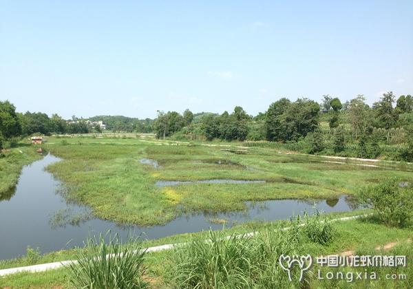 湖北洪湖：“打生态牌，走特色路”，迎来水产品牌建设年