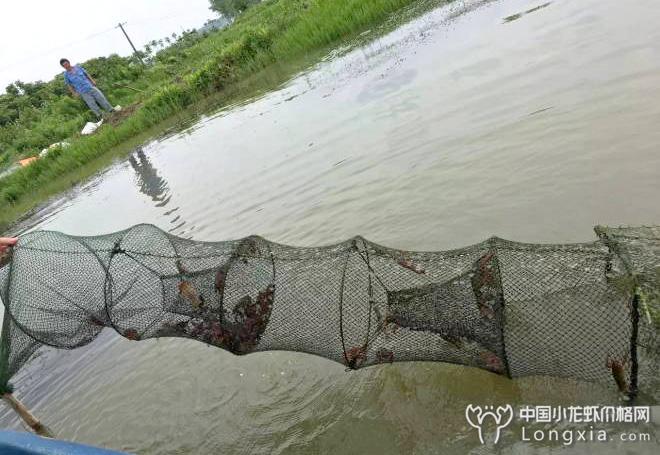 湖北迎来最强风口暴发期，“三驾马车”准备起跑！