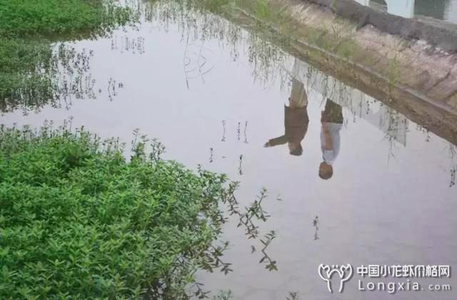 没有小龙虾吃的时节怎么办？小青龙来拯救你！