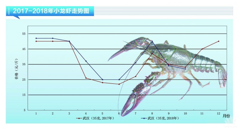 小龙虾即将迎来冬眠期，附2018年11月市场走势